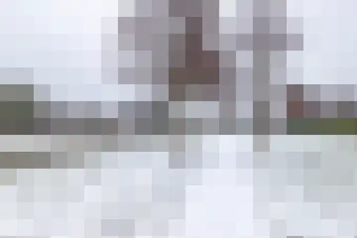 Van Lunterenstraat 2 Almelo thumbnail 38