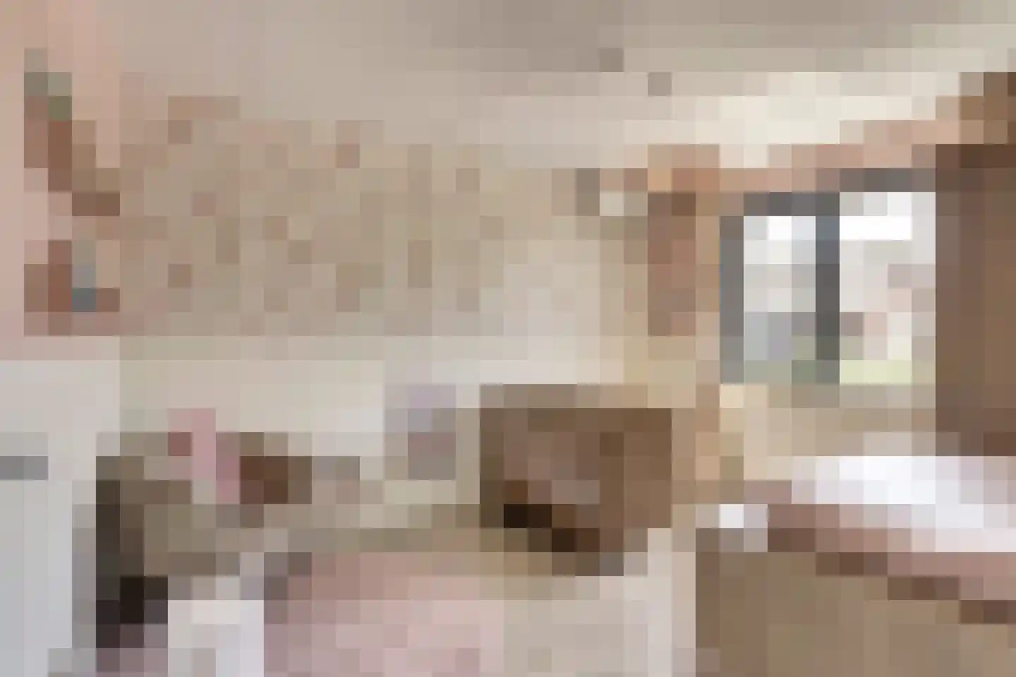 Van Lunterenstraat 25 Almelo thumbnail 14