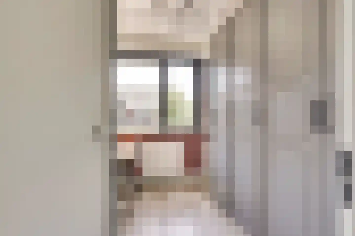 Van Lunterenstraat 25 Almelo thumbnail 16