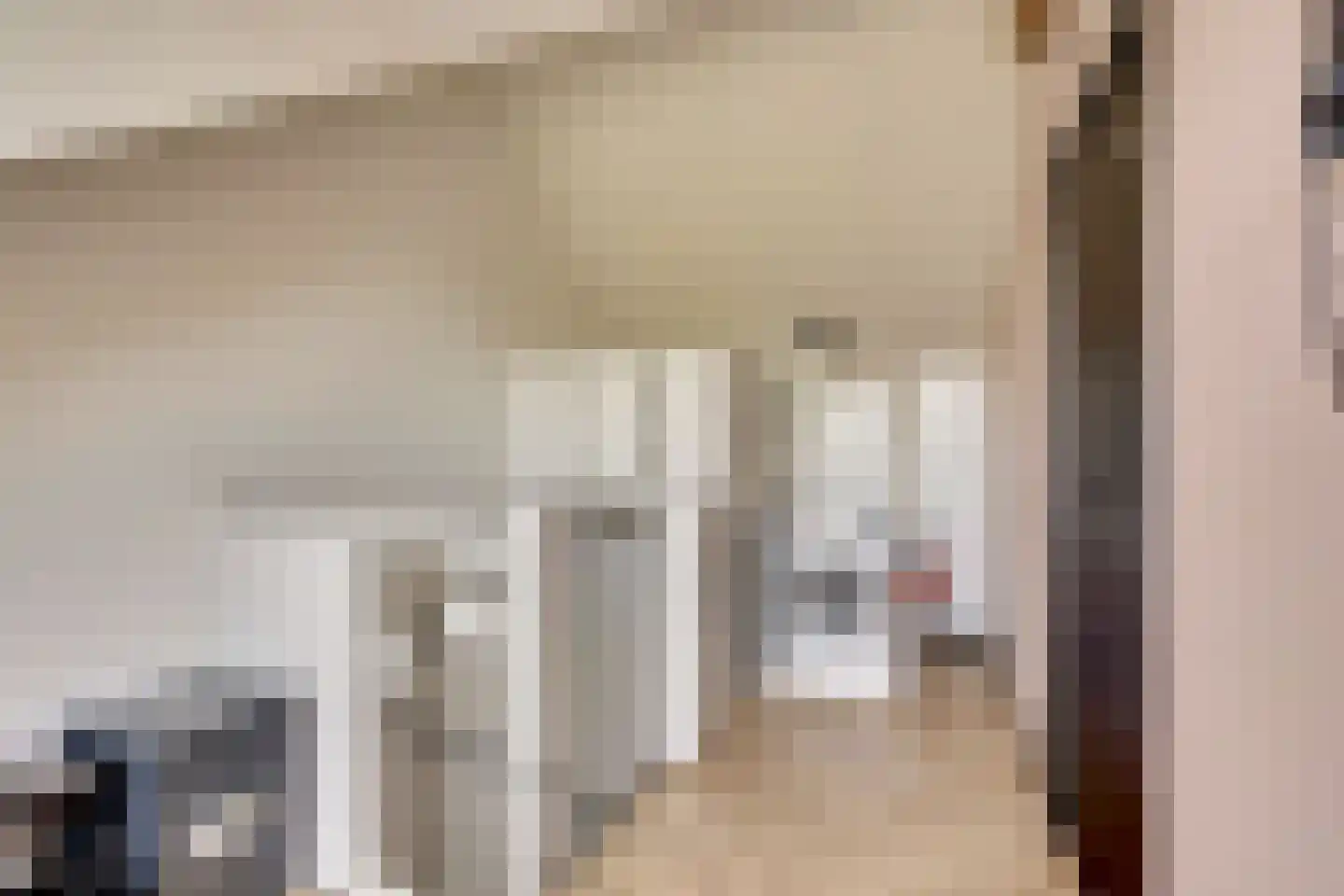 Van Lunterenstraat 25 Almelo thumbnail 21