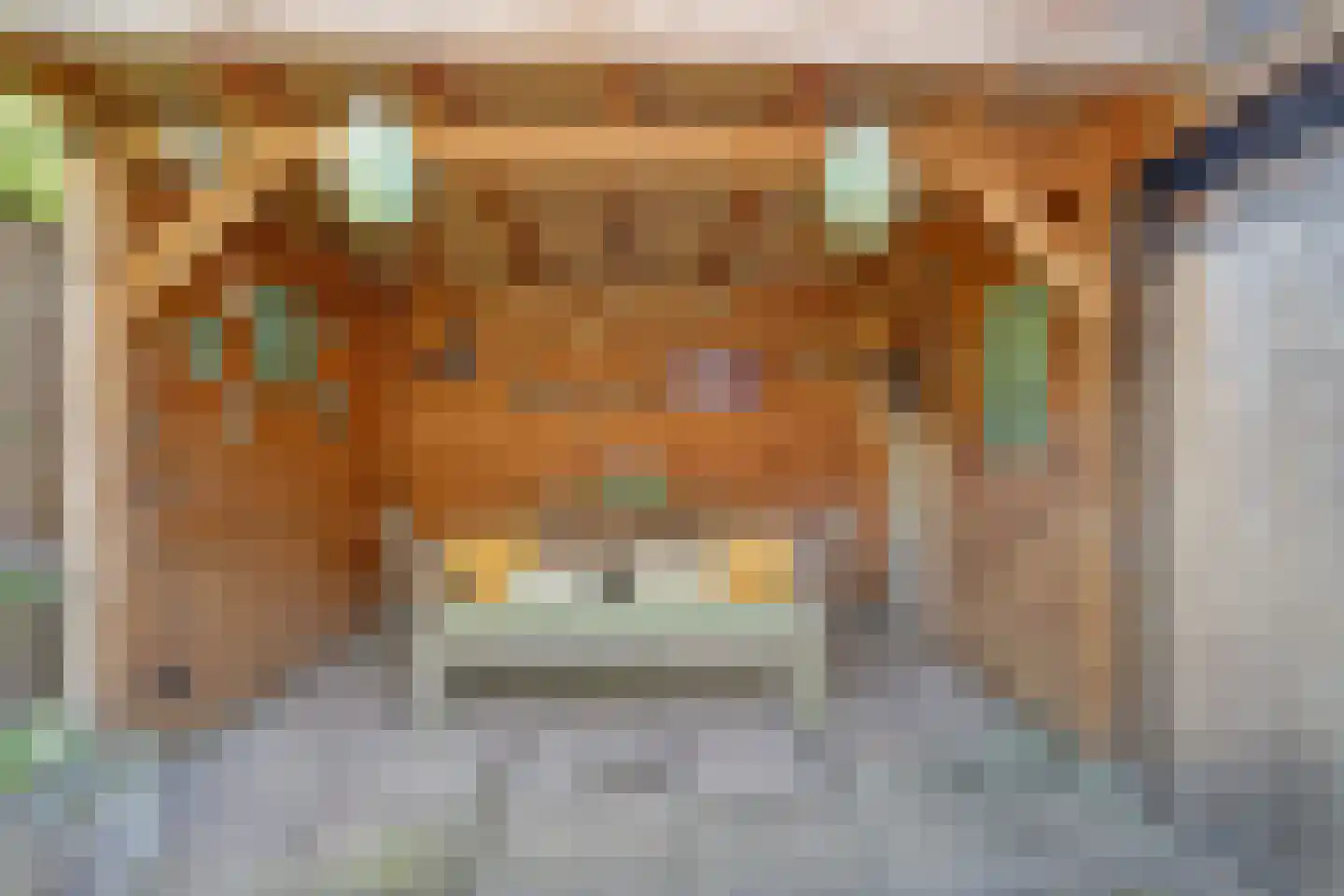 Van Lunterenstraat 25 Almelo thumbnail 26