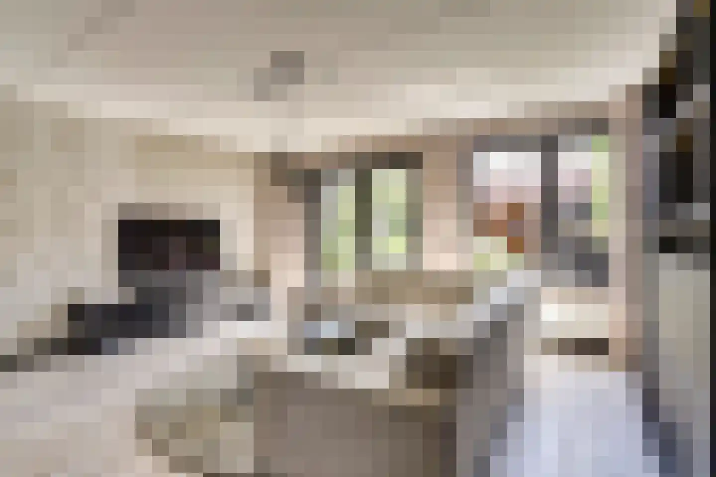 Van Lunterenstraat 25 Almelo thumbnail 7