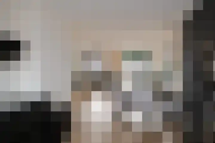 Van Lunterenstraat 5 Almelo thumbnail 10