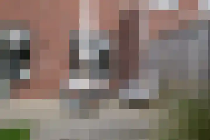 Van Lunterenstraat 5 Almelo thumbnail 19