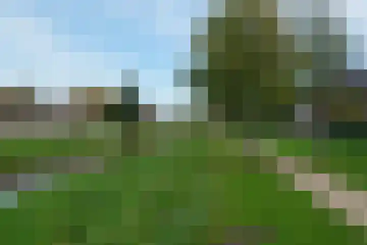 Van Lunterenstraat 5 Almelo thumbnail 29