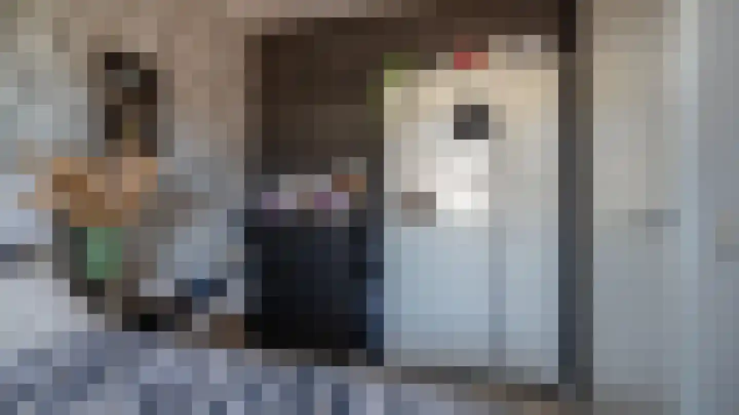 Van Lunterenstraat 54 Almelo thumbnail 13