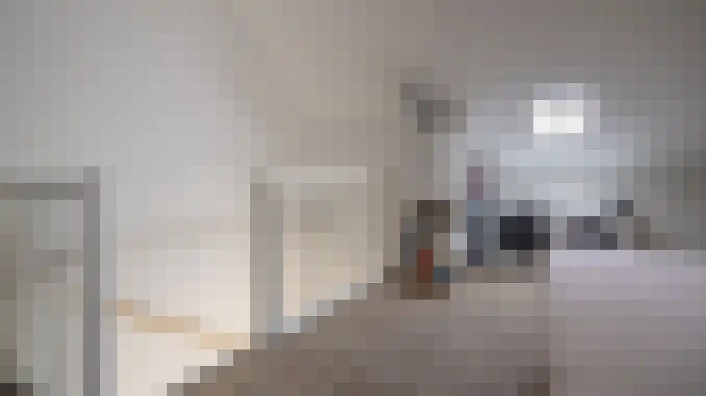 Van Lunterenstraat 54 Almelo thumbnail 20