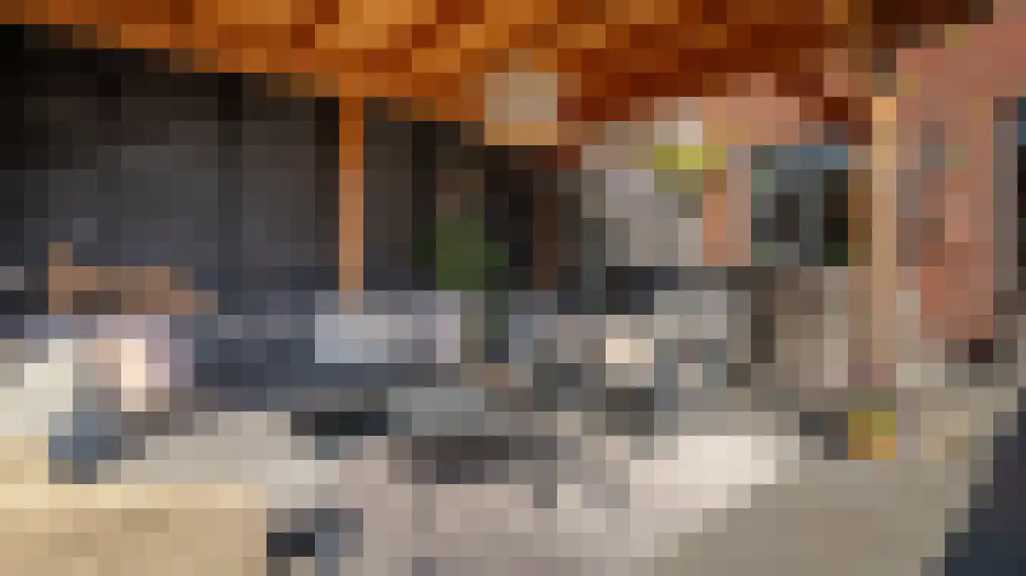 Van Lunterenstraat 54 Almelo thumbnail 25