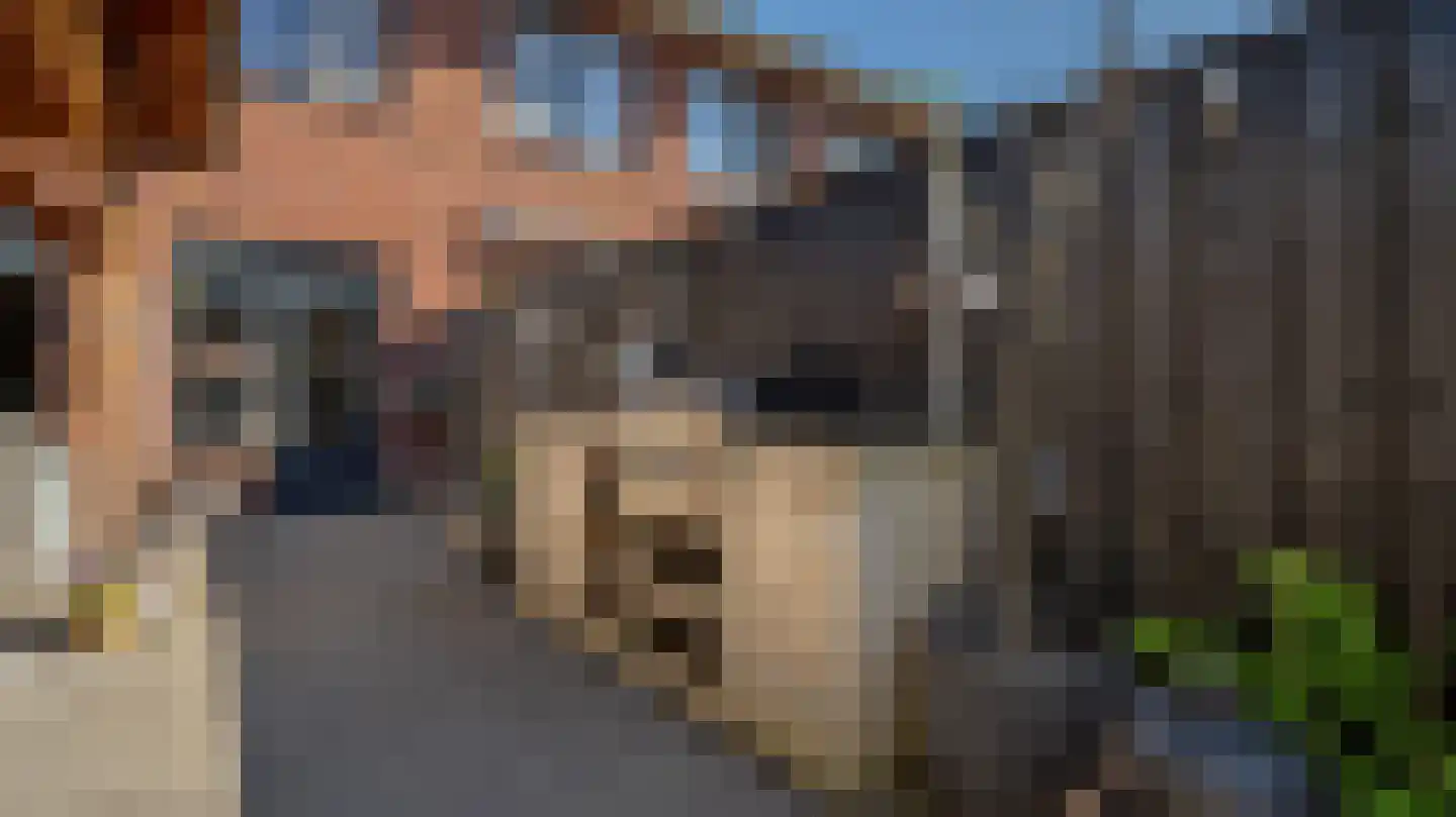 Van Lunterenstraat 54 Almelo thumbnail 29