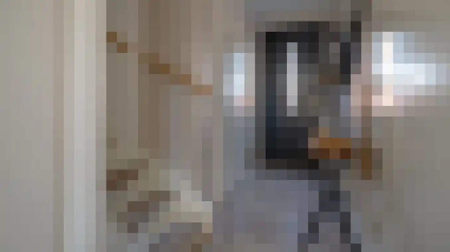 Van Lunterenstraat 54 Almelo thumbnail 9