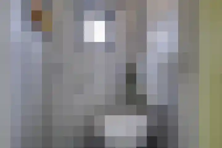 van Lutterveltplein 10 Lochem thumbnail 17