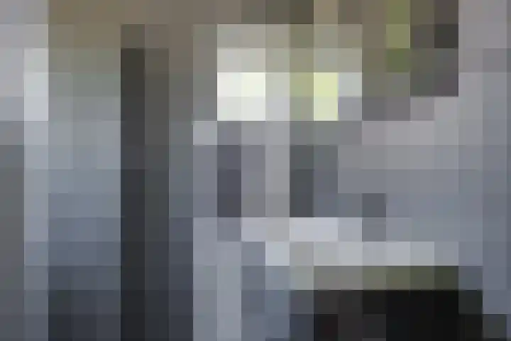 van Lutterveltplein 10 Lochem thumbnail 18