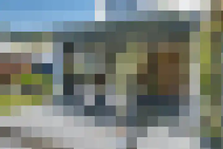 van Lutterveltplein 10 Lochem thumbnail 21