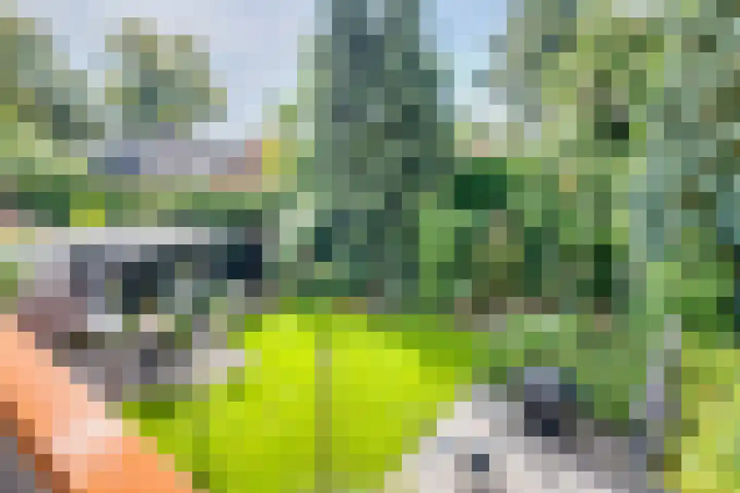 van Lutterveltplein 8 Lochem thumbnail 4