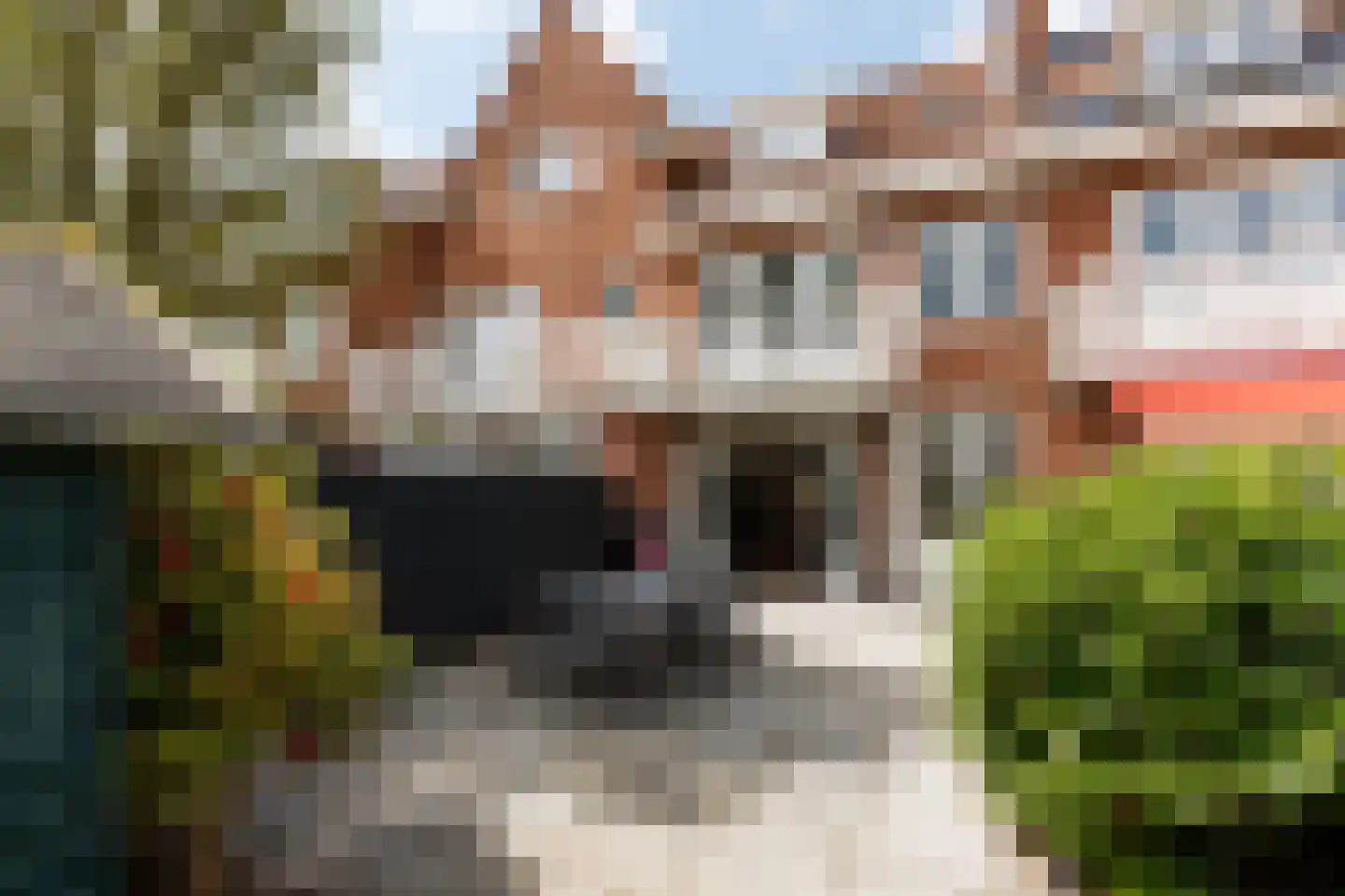 Van Lynden van Sandenburglaan 28 Utrecht thumbnail 20