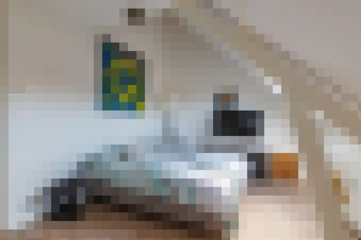 Van Lynden van Sandenburglaan 28 Utrecht thumbnail 32