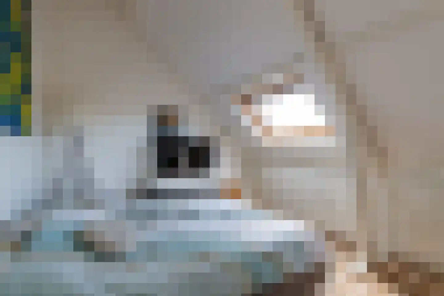 Van Lynden van Sandenburglaan 28 Utrecht thumbnail 33