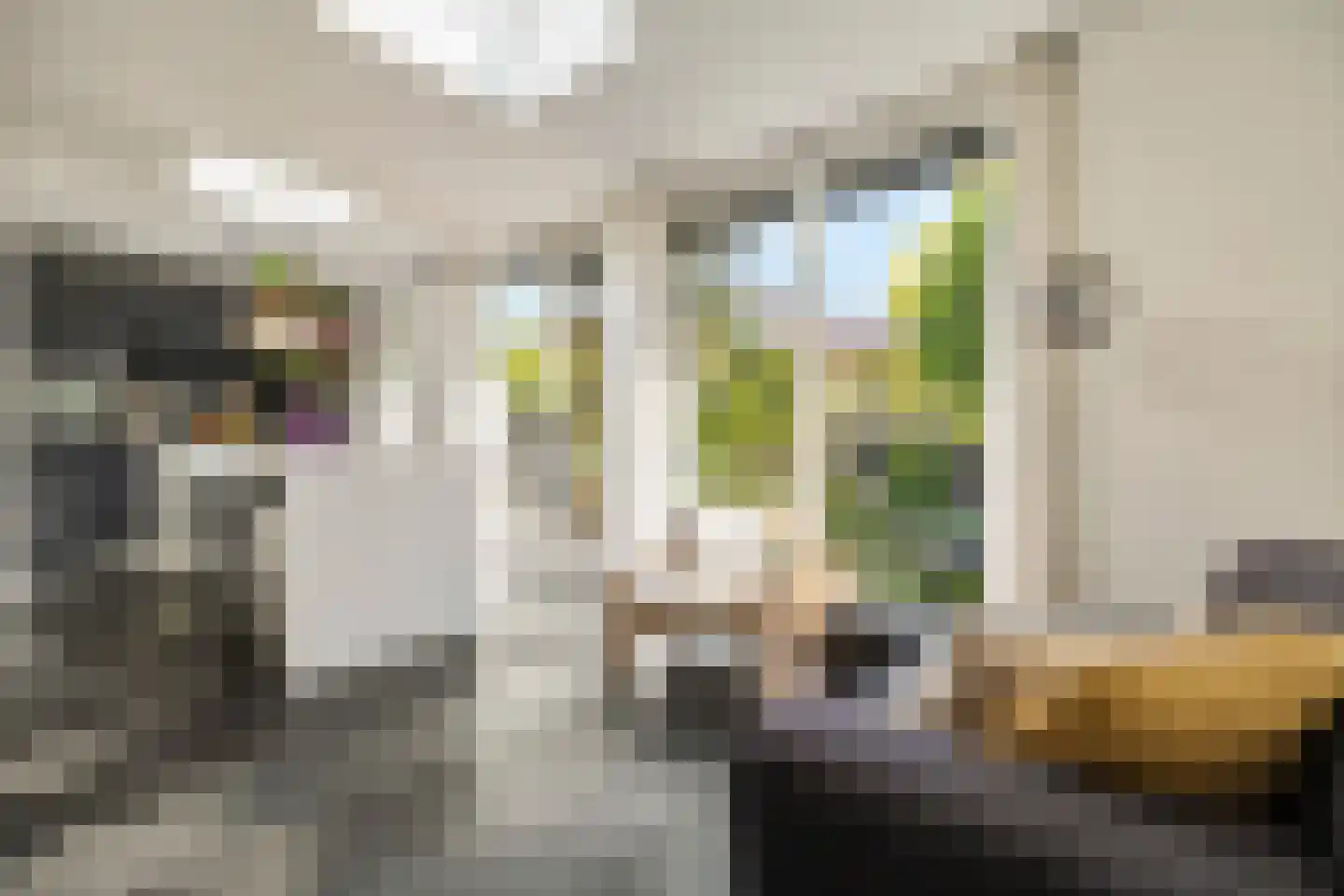 Van Lynden van Sandenburglaan 52 Utrecht thumbnail 17
