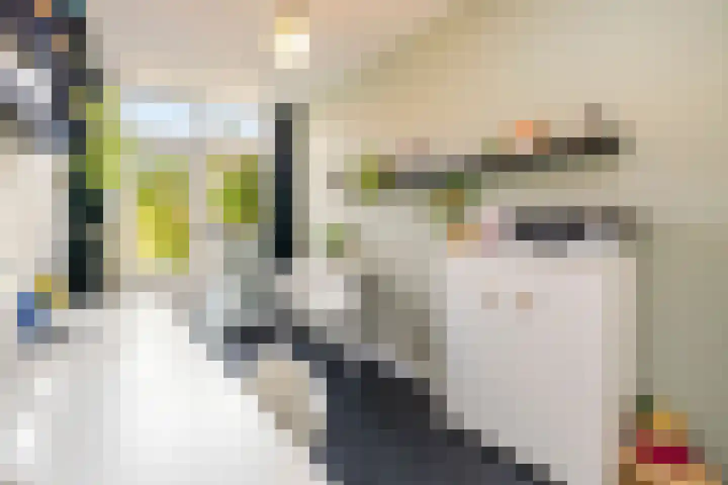 Van Lynden van Sandenburglaan 52 Utrecht thumbnail 21