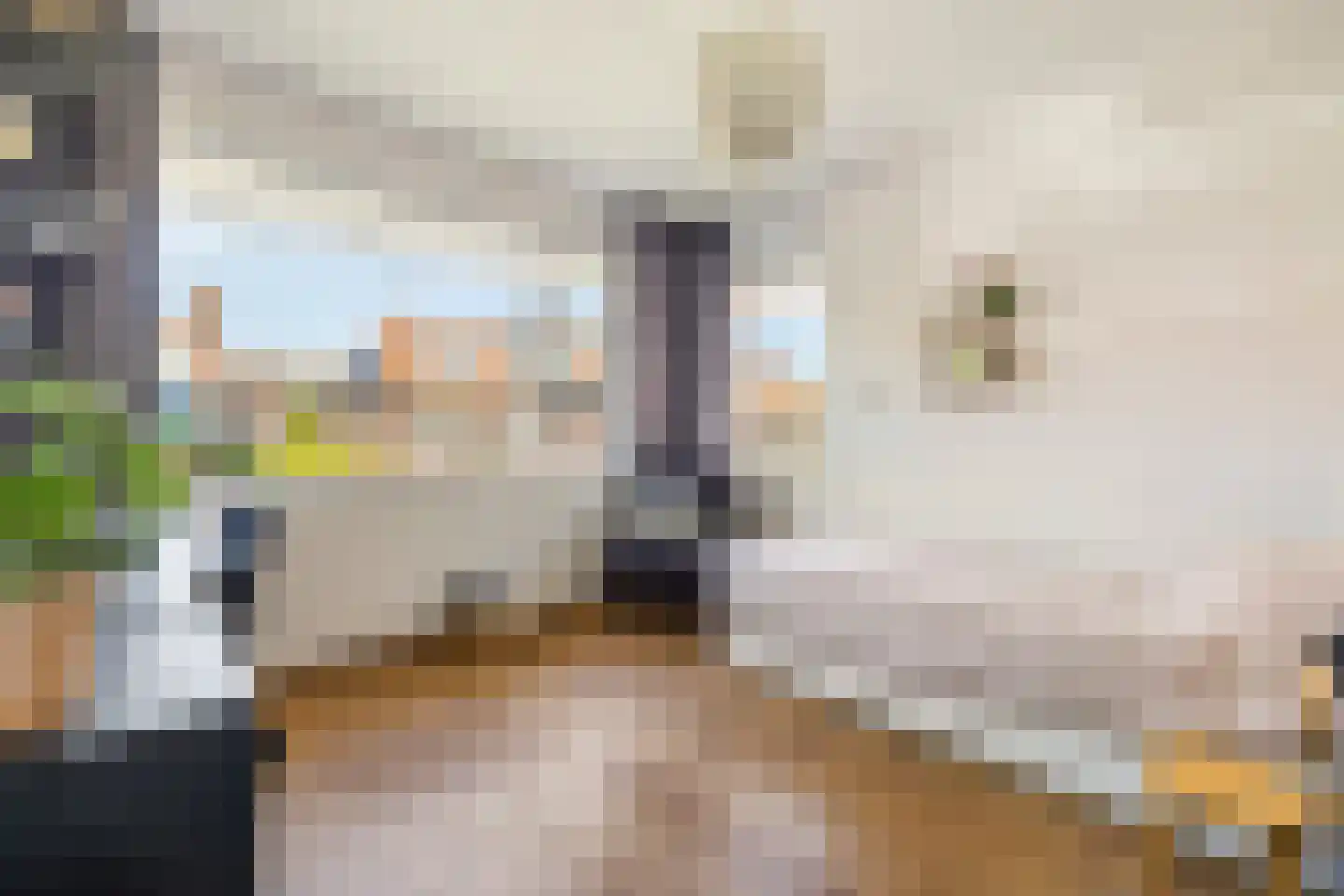 Van Lynden van Sandenburglaan 52 Utrecht thumbnail 31