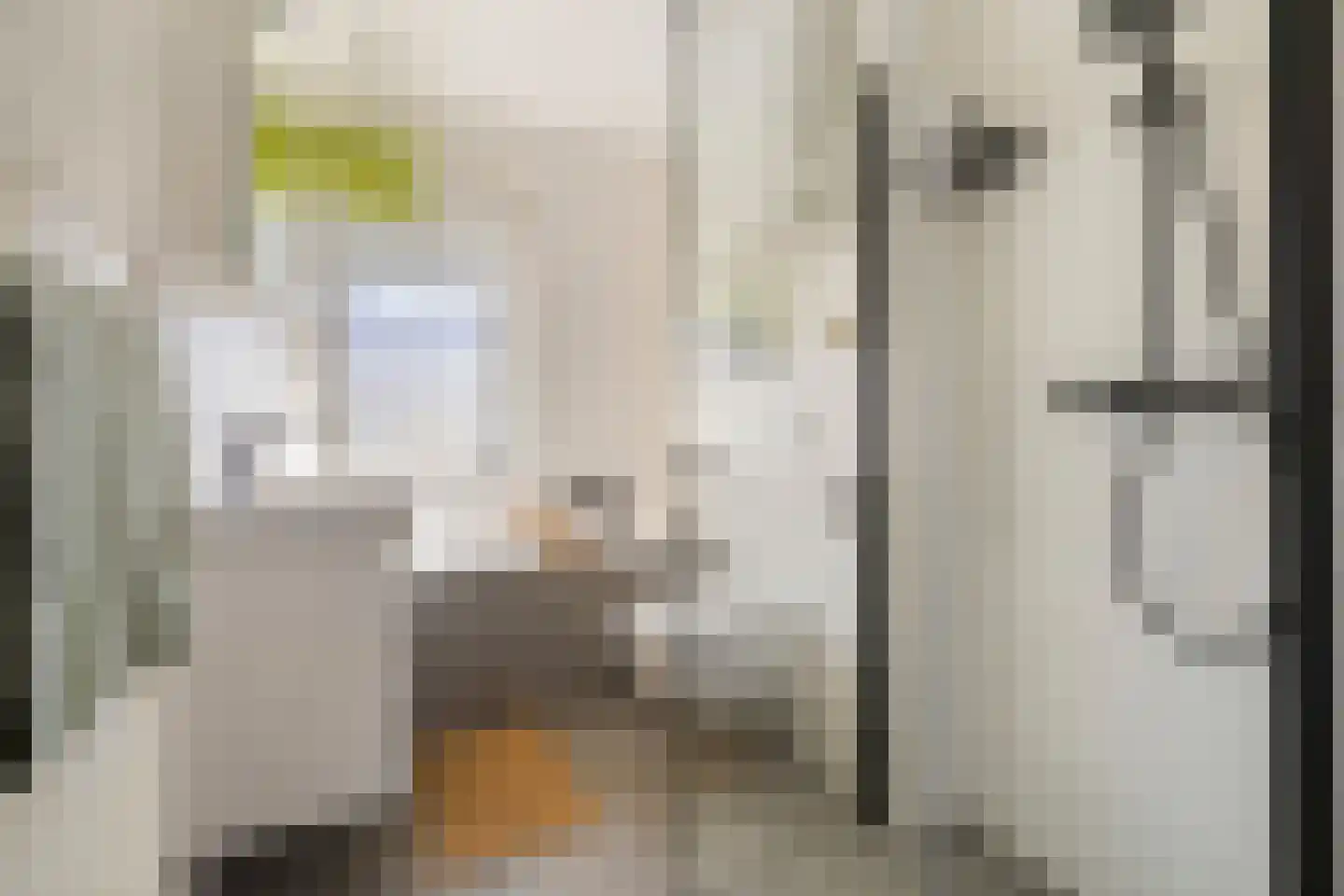 Van Lynden van Sandenburglaan 52 Utrecht thumbnail 35
