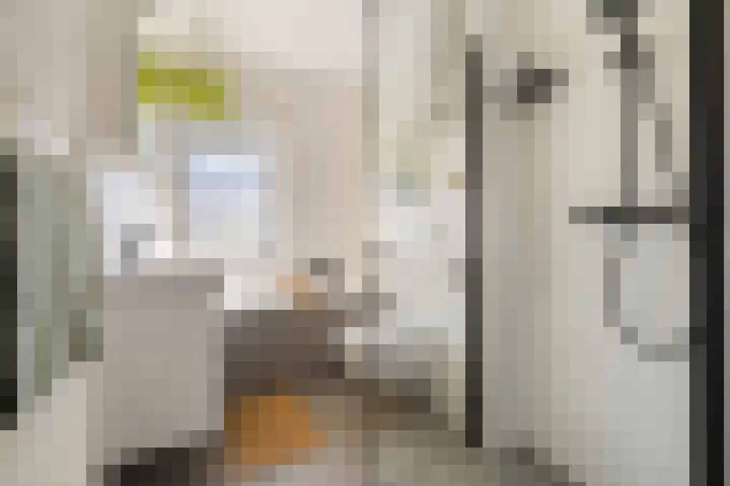 Van Lynden van Sandenburglaan 52 Utrecht thumbnail 4