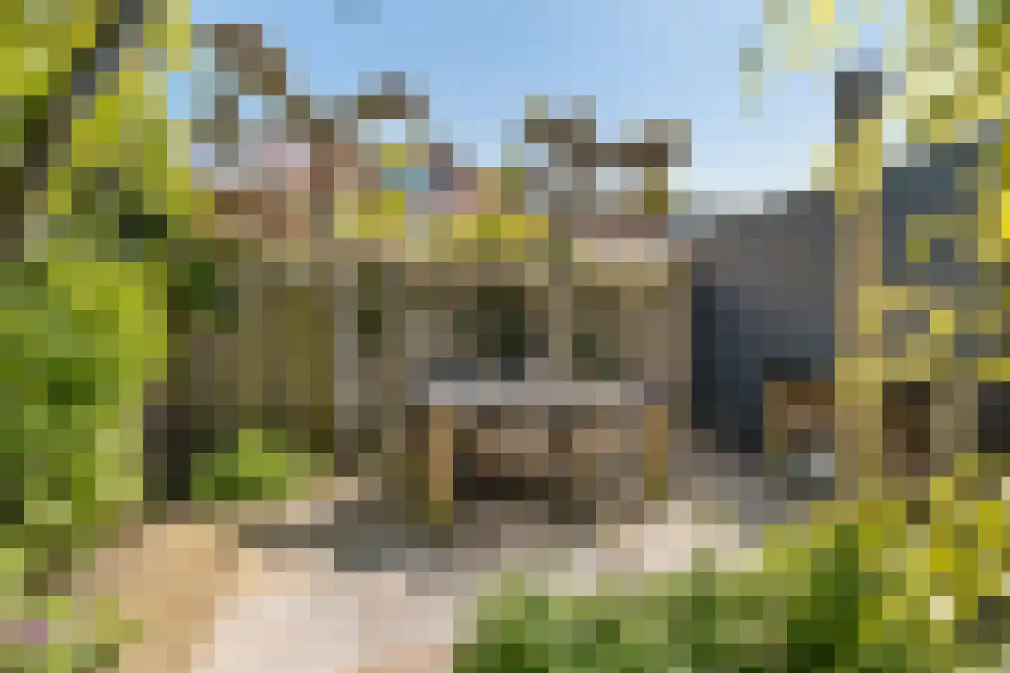 Van Lynden van Sandenburglaan 52 Utrecht thumbnail 44