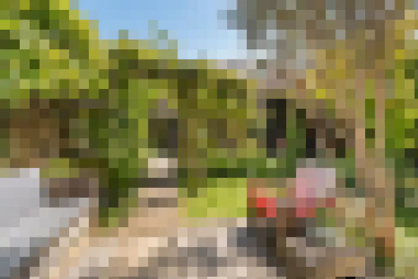 Van Lynden van Sandenburglaan 52 Utrecht thumbnail 5