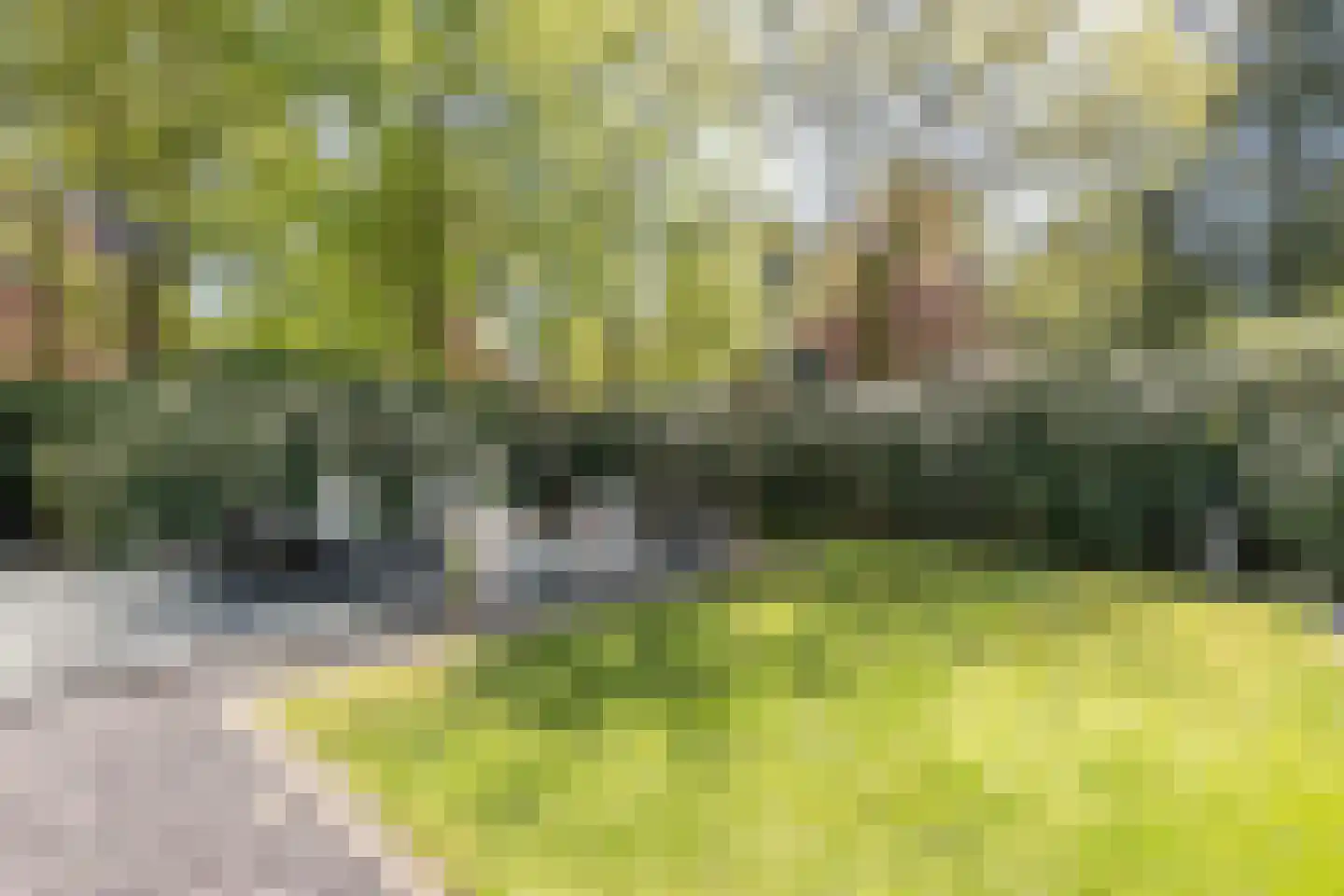 van Lyndenlaan 10 Soest thumbnail 10