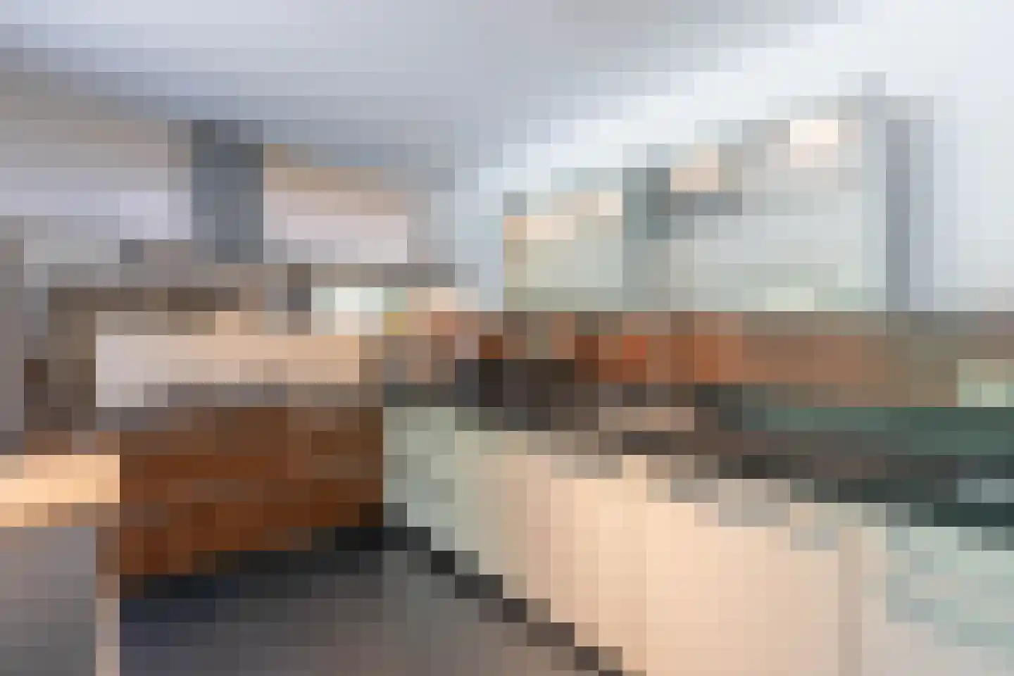 van Lyndenlaan 10 Soest thumbnail 15