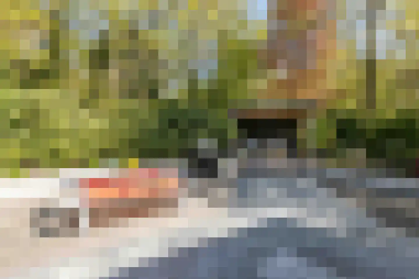 van Lyndenlaan 10 Soest thumbnail 31