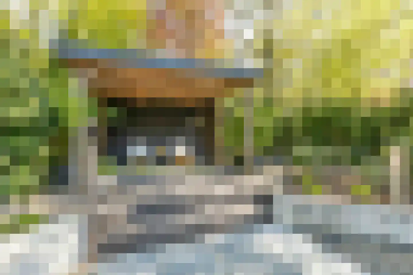 van Lyndenlaan 10 Soest thumbnail 32