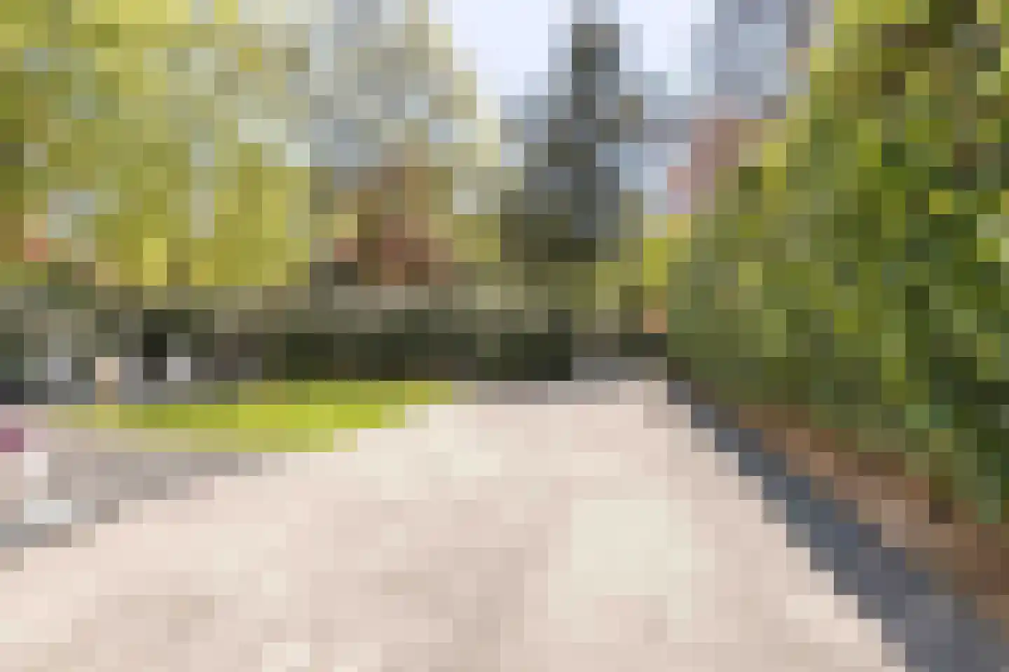 van Lyndenlaan 10 Soest thumbnail 34