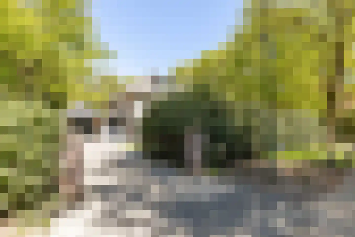 van Lyndenlaan 10 Soest thumbnail 4