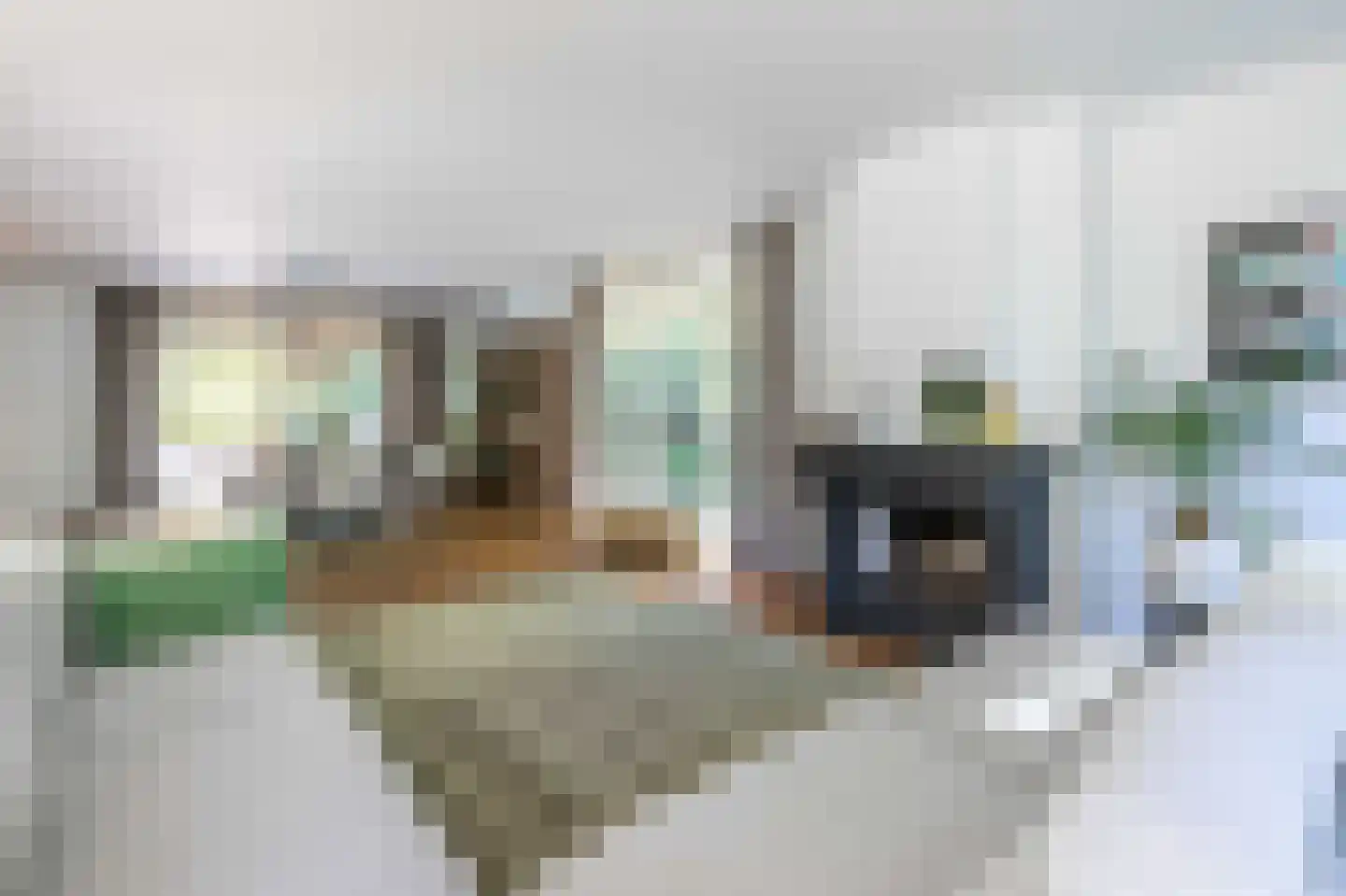 van Lyndenlaan 10 Soest thumbnail 7