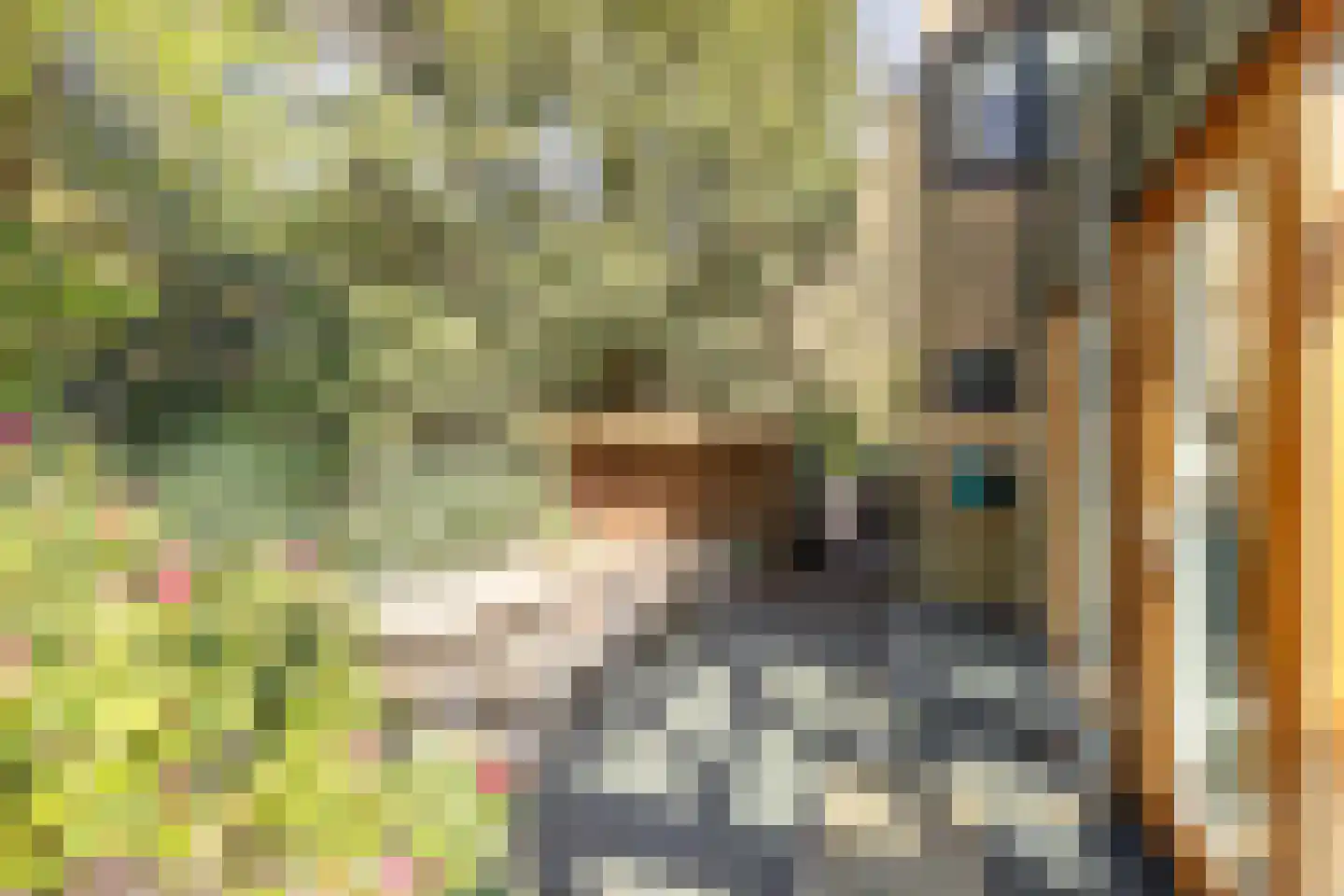 van Lyndenlaan 15 Soest thumbnail 31