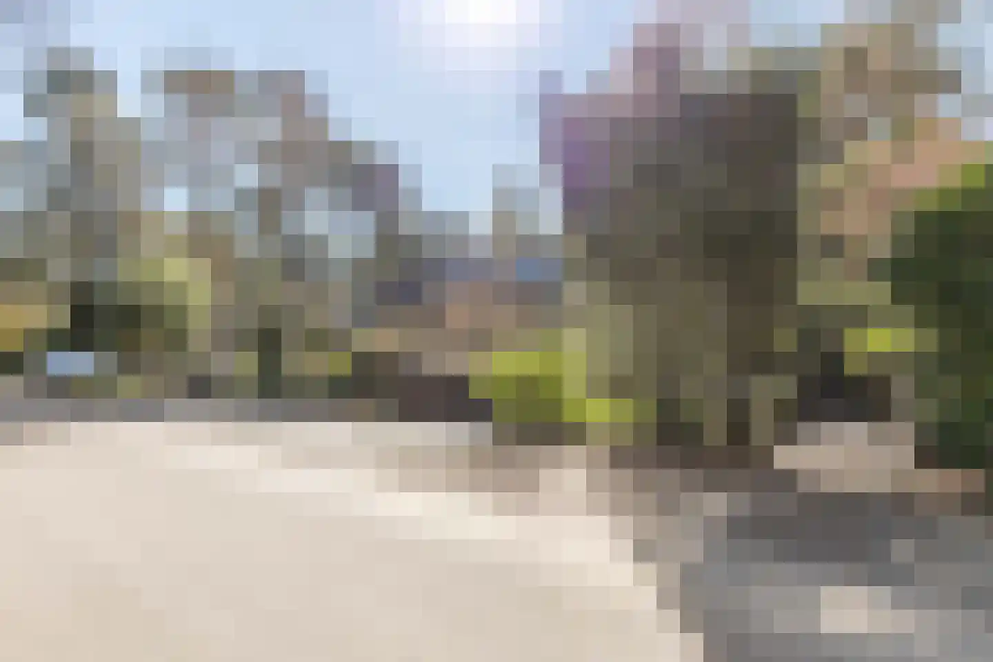 van Lyndenlaan 15 Soest thumbnail 5