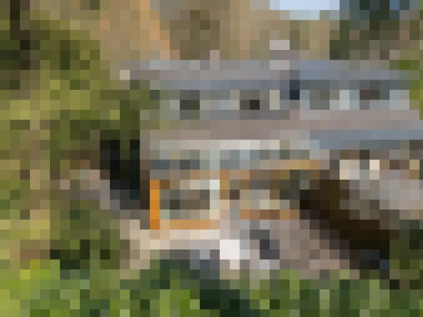 van Lyndenlaan 15 Soest thumbnail 54