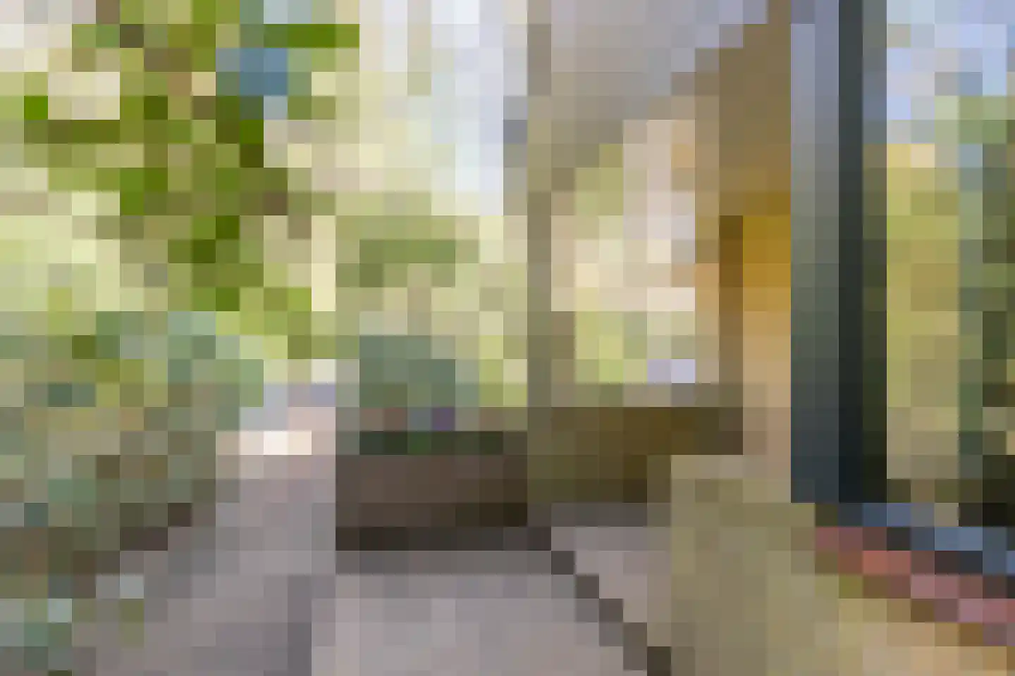 van Lyndenlaan 15 Soest thumbnail 7