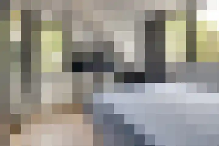 Van Lyndenlaan 28 Loenen aan de Vecht thumbnail 30