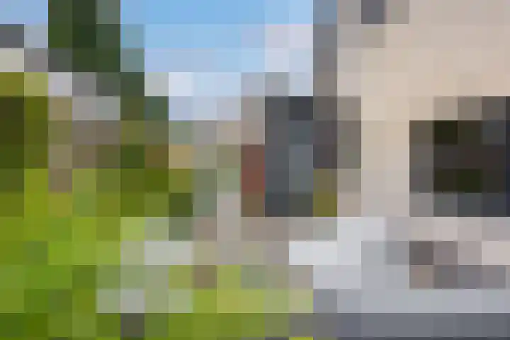 Van Lyndenlaan 28 Loenen aan de Vecht thumbnail 37