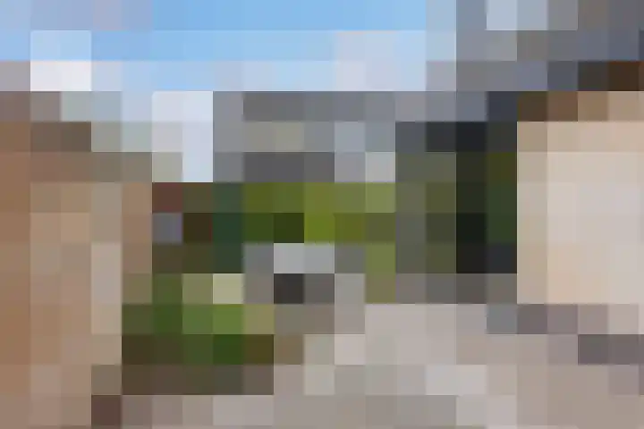 Van Lyndenlaan 28 Loenen aan de Vecht thumbnail 39