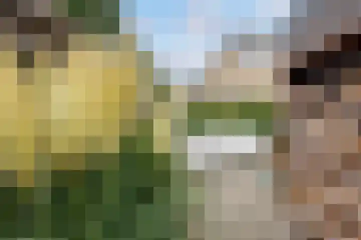 Van Lyndenlaan 28 Loenen aan de Vecht thumbnail 42