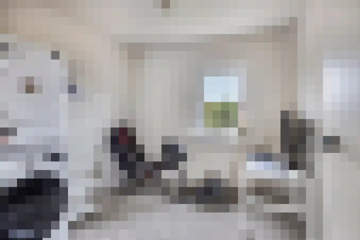 van Lyndenlaan 29 Hoevelaken thumbnail 23