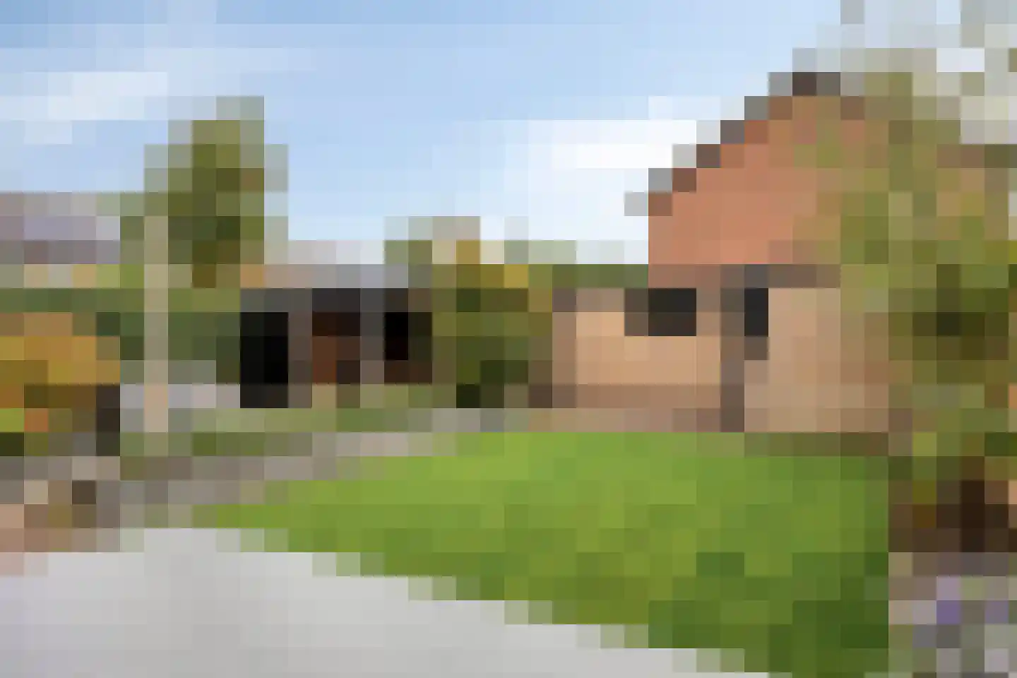 van Lyndenlaan 29 Hoevelaken thumbnail 34