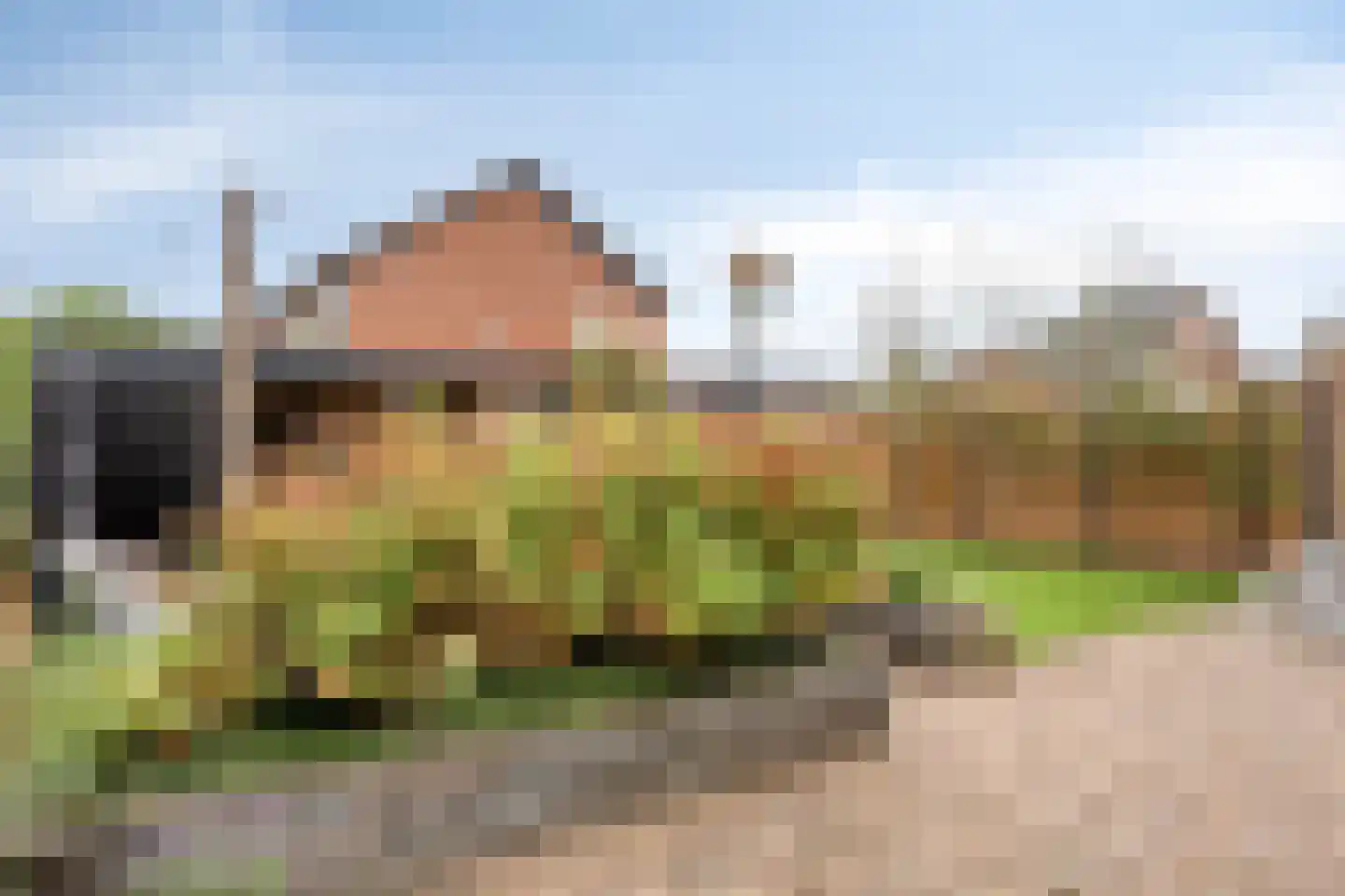 van Lyndenlaan 29 Hoevelaken thumbnail 35