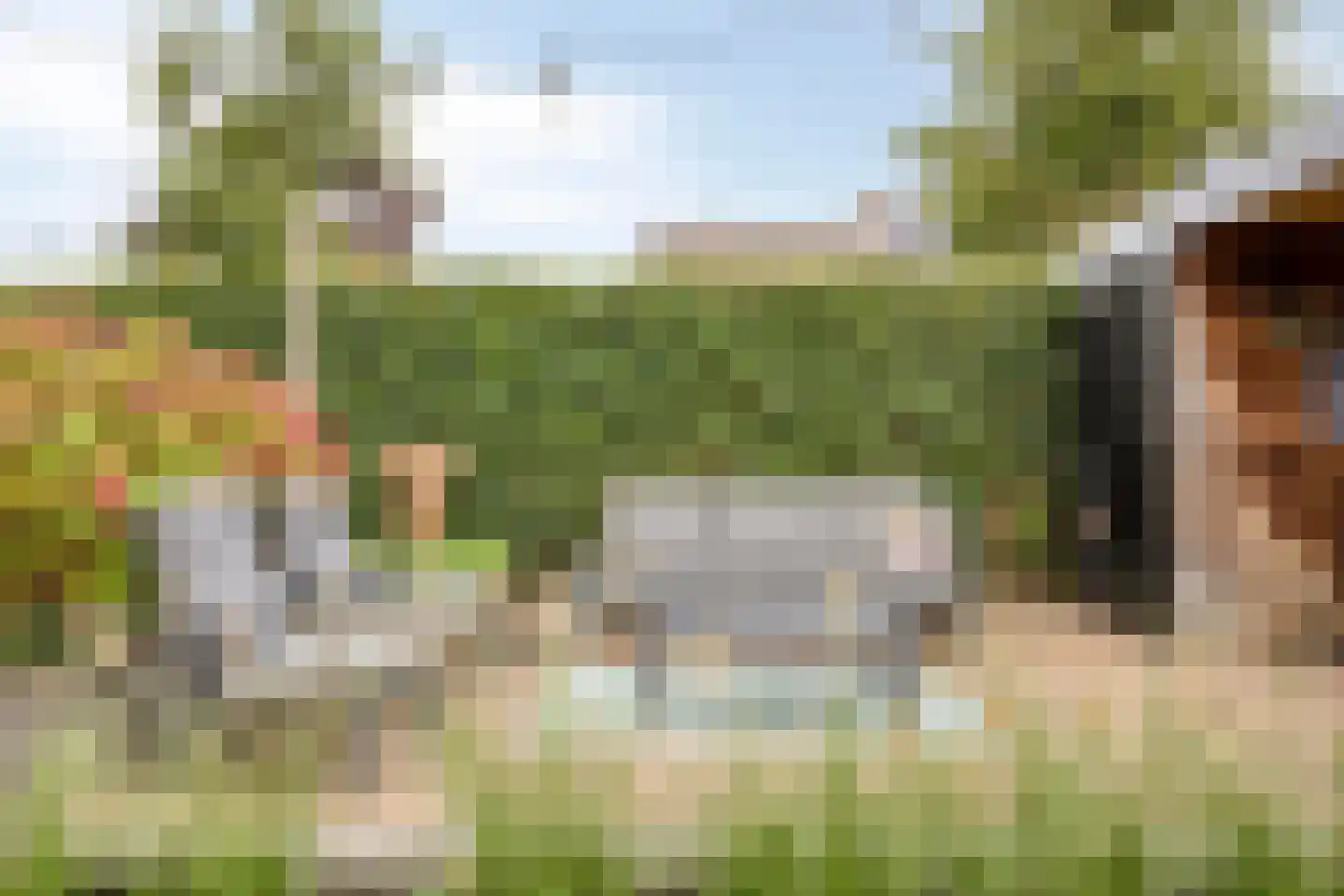 van Lyndenlaan 29 Hoevelaken thumbnail 36