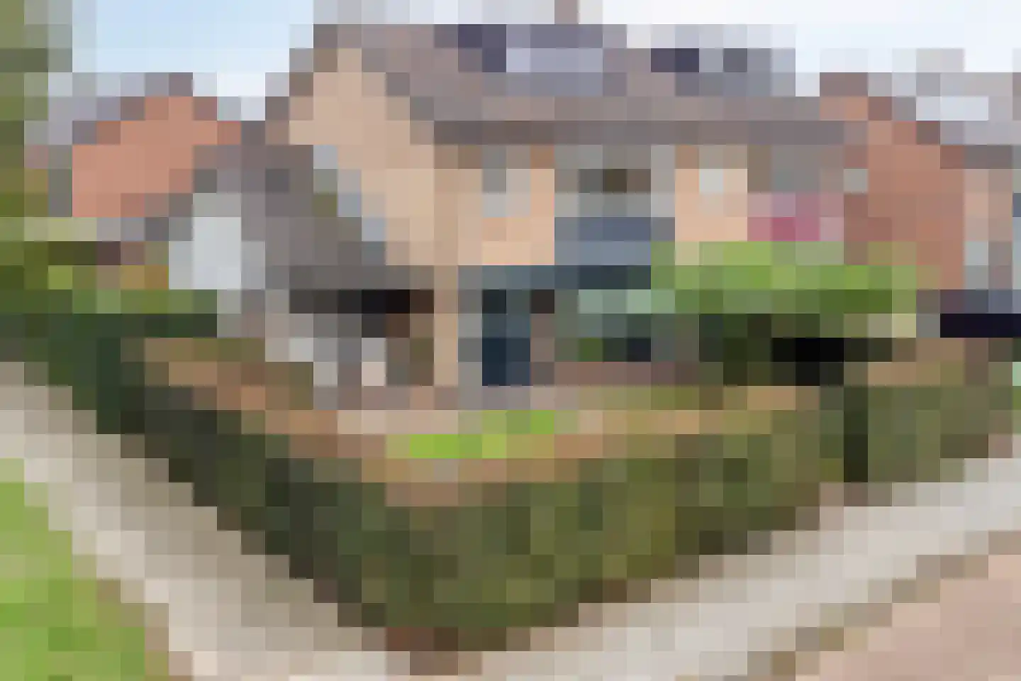 van Lyndenlaan 29 Hoevelaken thumbnail 42