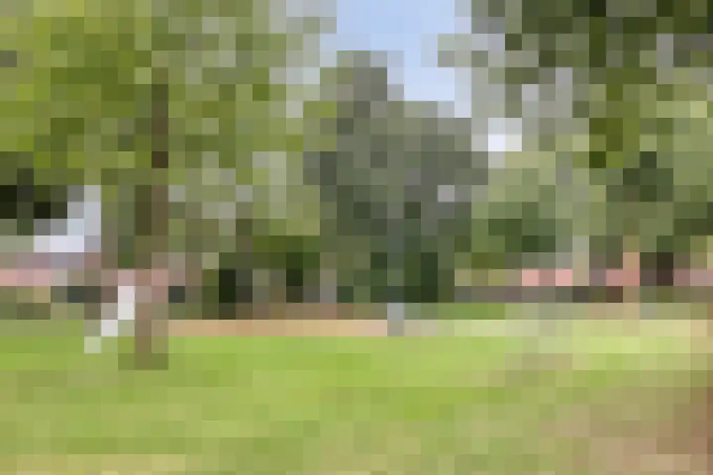 van Lyndenlaan 29 Hoevelaken thumbnail 48