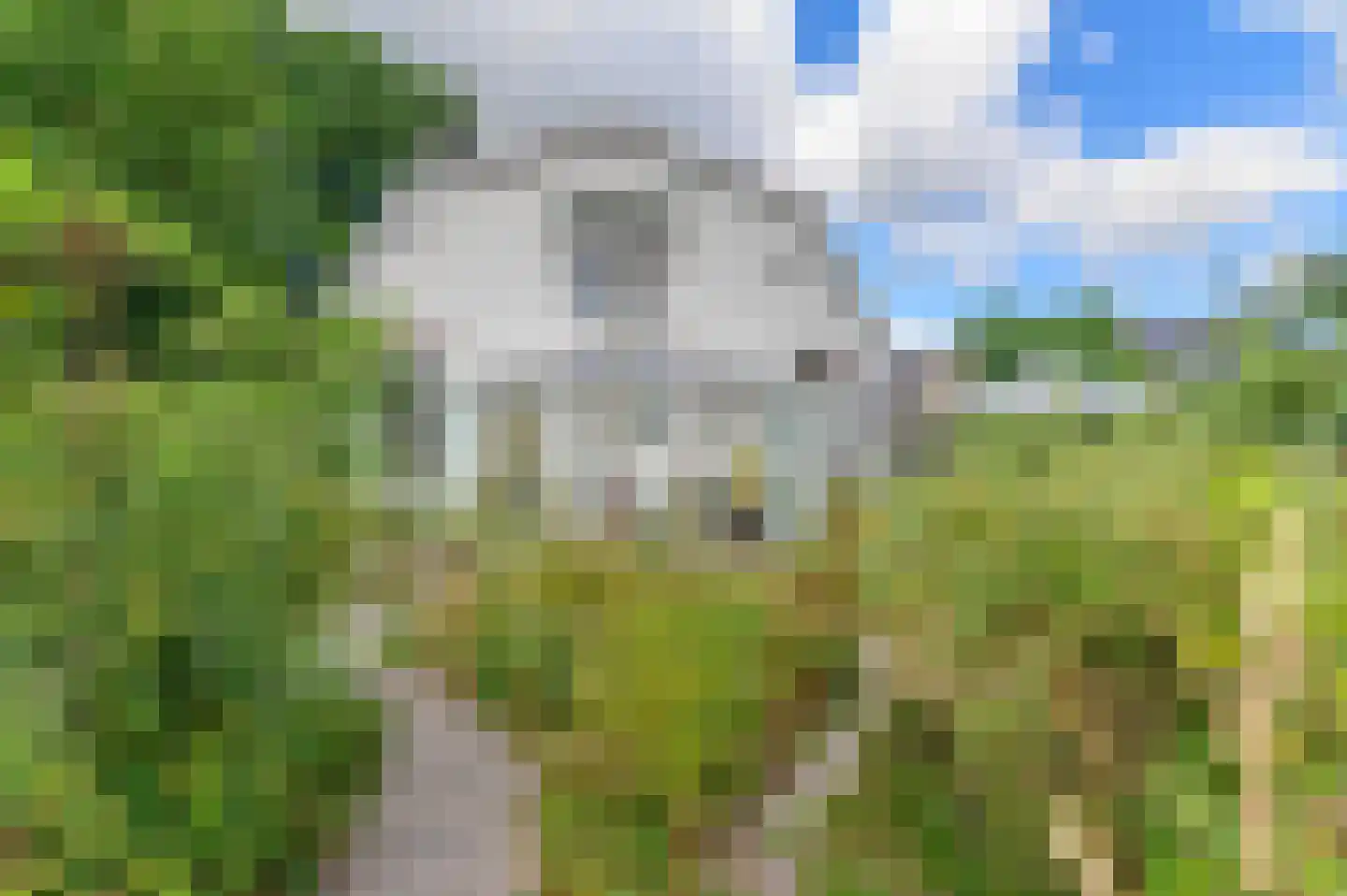 Van Lyndenlaan 4 Beetsterzwaag thumbnail 12